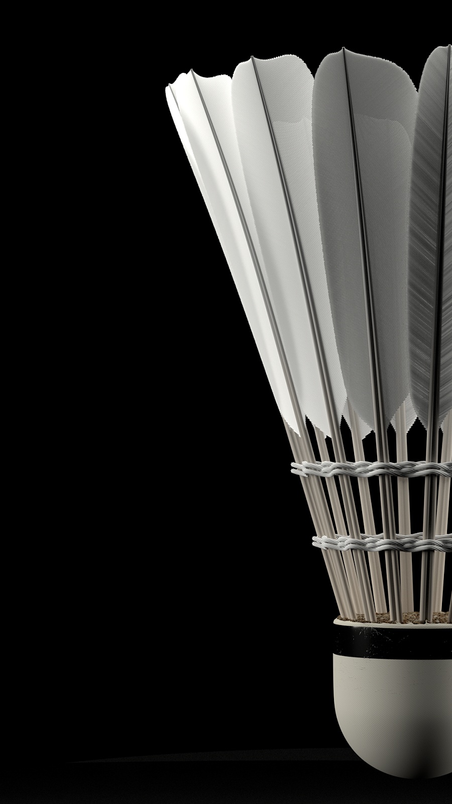 合泳项目中 合泳项目中